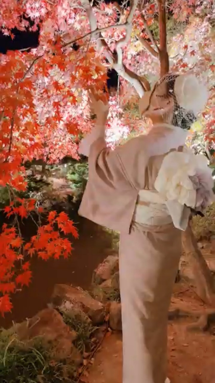 京都駅 秋の紅葉特別夜間公開₋トワイライト庭園パーティ₋ 11/15~11/24の土日祝
