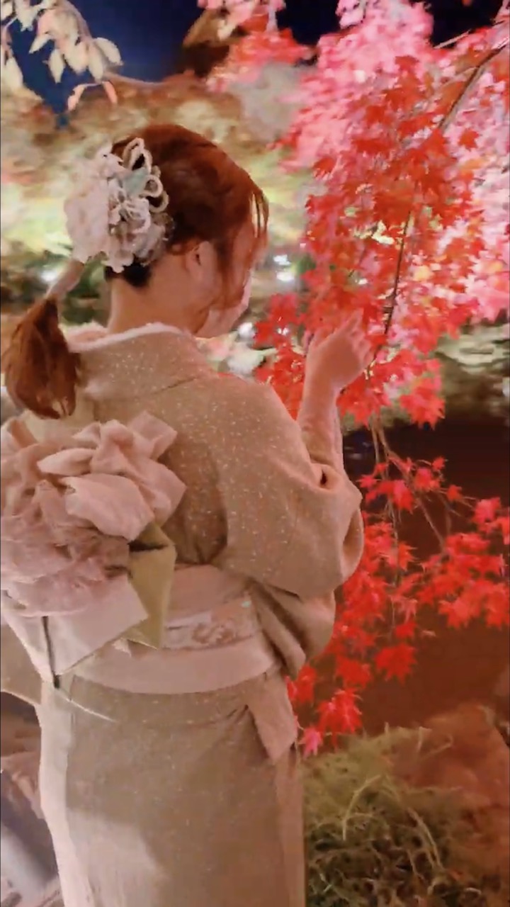 京都　この秋行きたい紅葉スポット④　