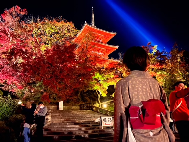 京都　鴨の音 下鴨神社　11/28～12/7