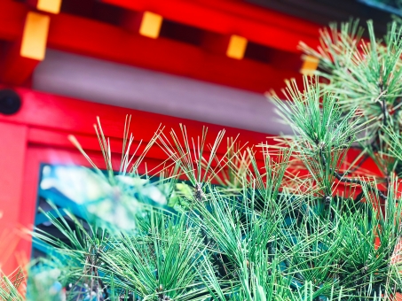 (保存版)これを読めば解決!初めてのお宮参りのマナー・しきたりまとめ(当日・まとめ編)